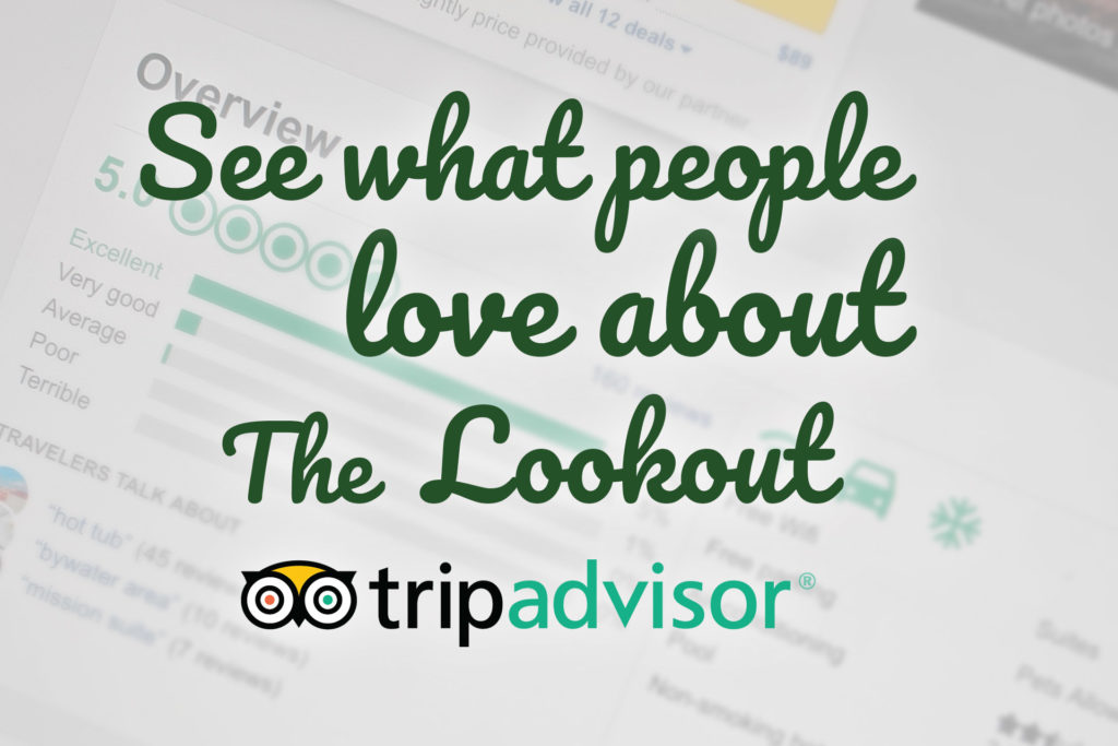 Lookout New Orleans Reviews